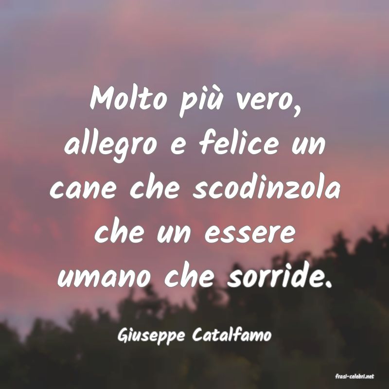 frasi di  Giuseppe Catalfamo

