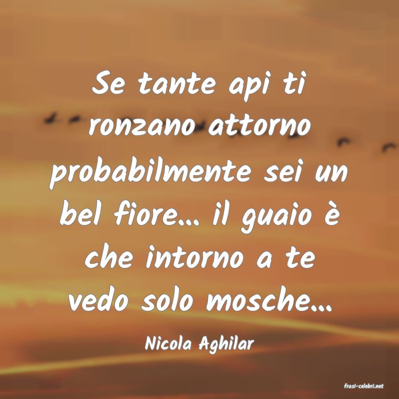 frasi di  Nicola Aghilar
