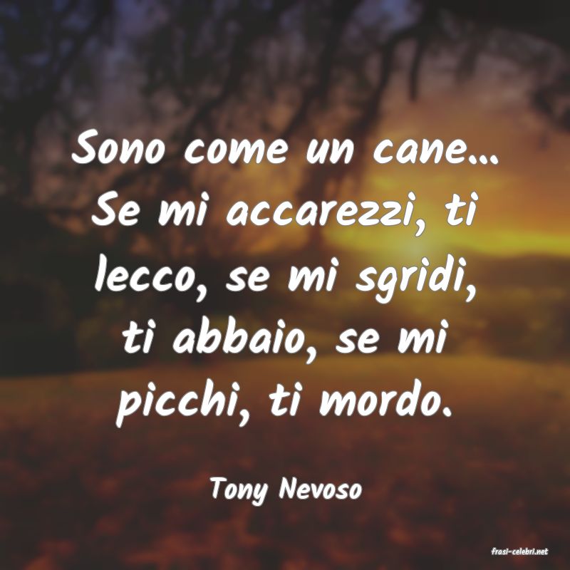 frasi di  Tony Nevoso
