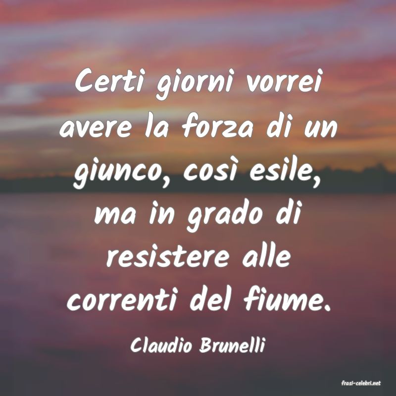 frasi di  Claudio Brunelli
