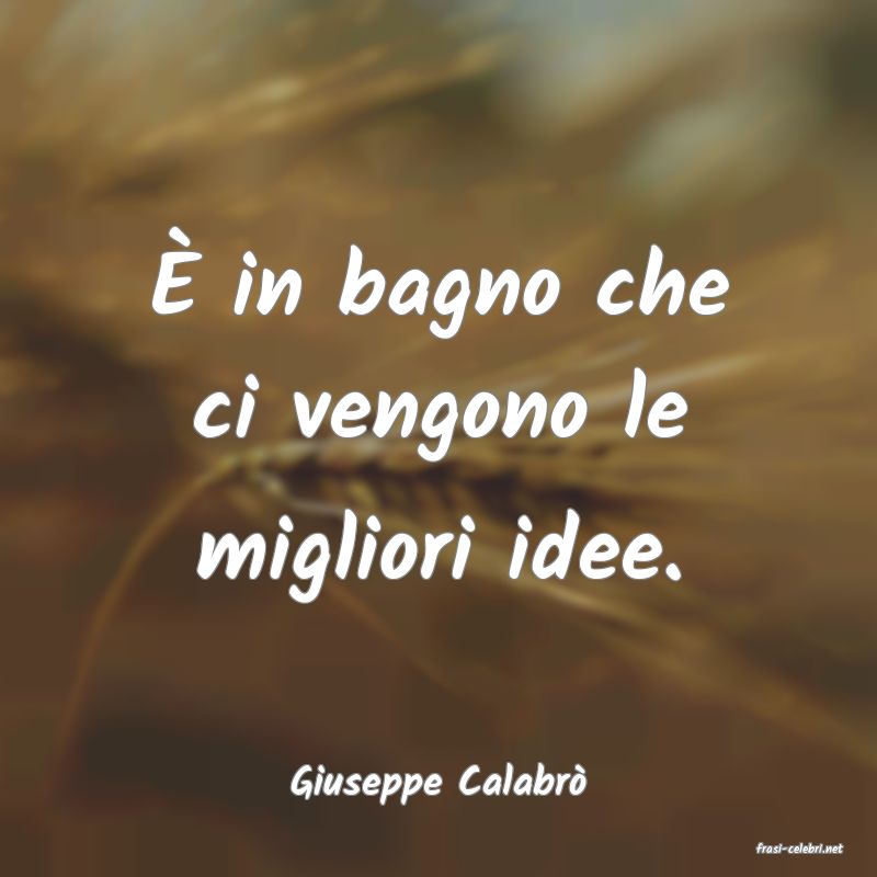 frasi di Giuseppe Calabr�