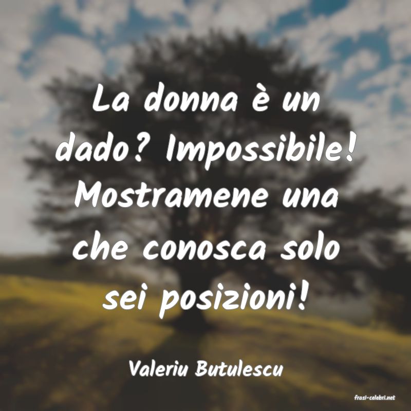 frasi di Valeriu Butulescu