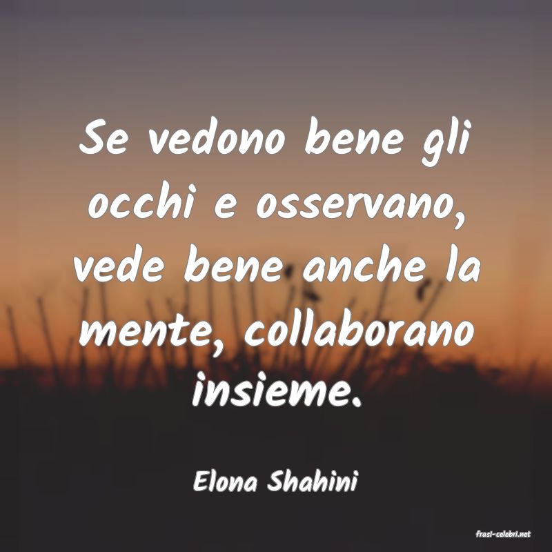 frasi di  Elona Shahini
