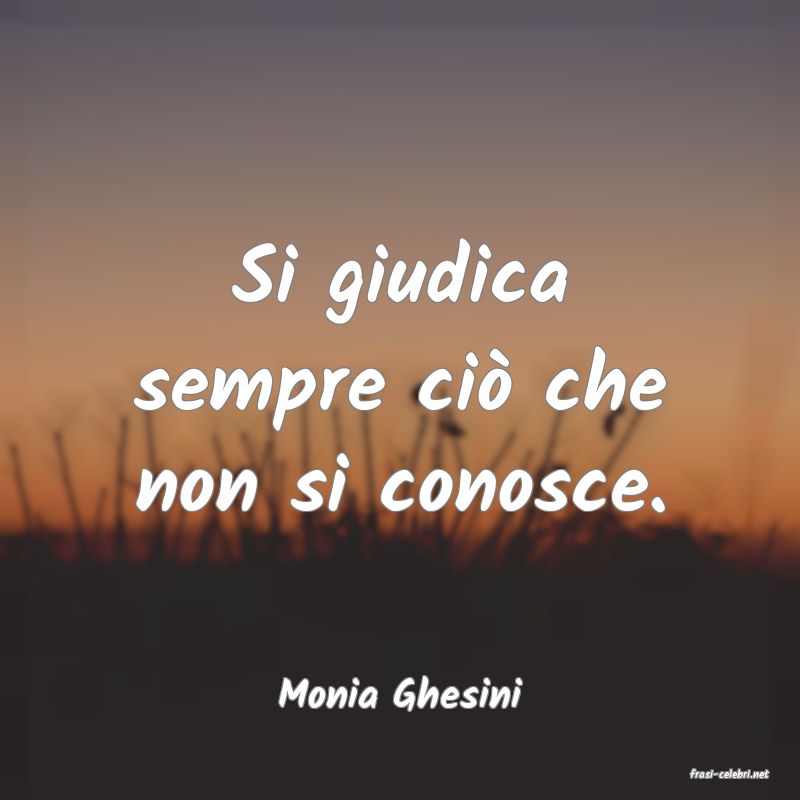 frasi di  Monia Ghesini
