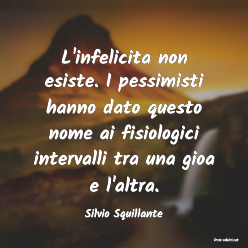 frasi di  Silvio Squillante
