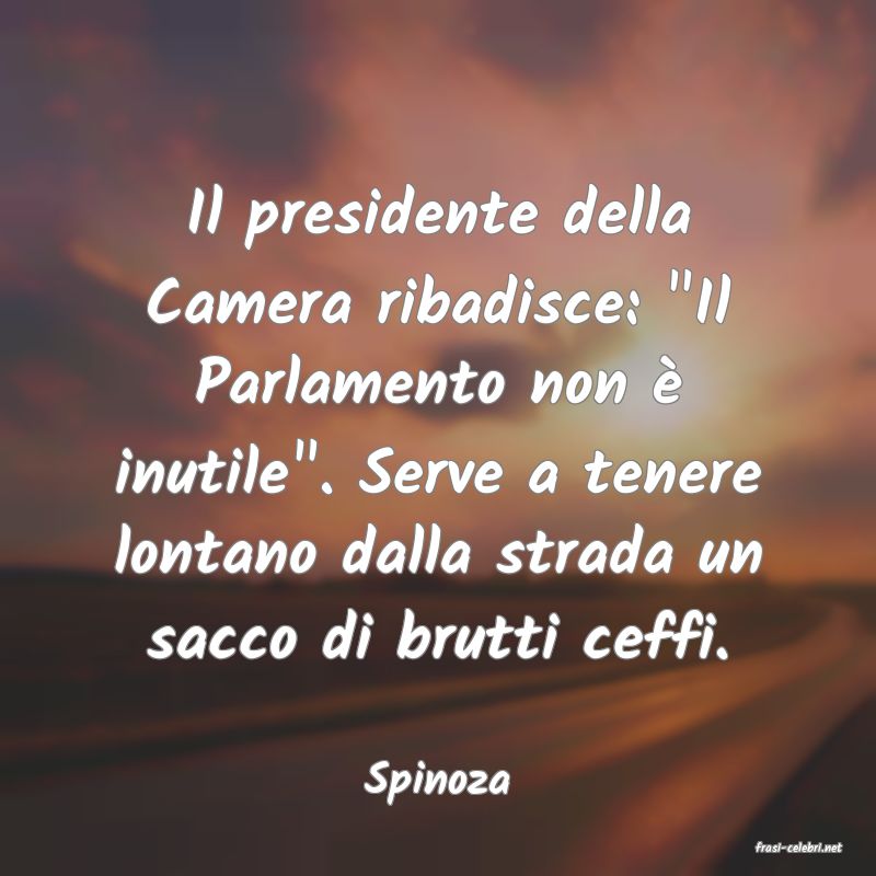 frasi di Spinoza