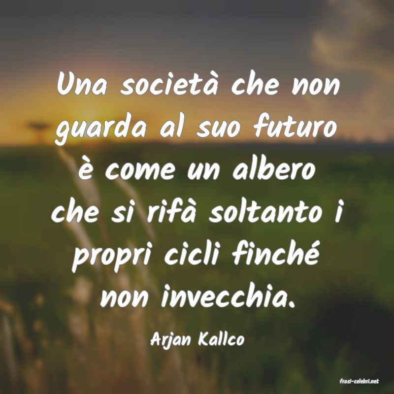 frasi di  Arjan Kallco
