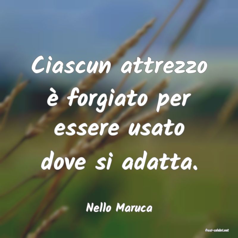 frasi di  Nello Maruca

