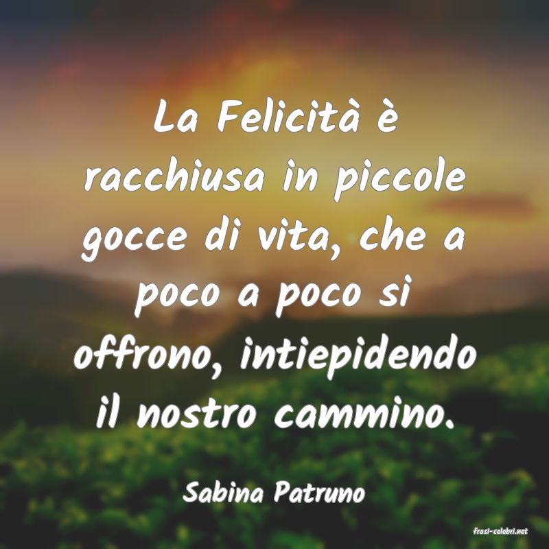 frasi di Sabina Patruno