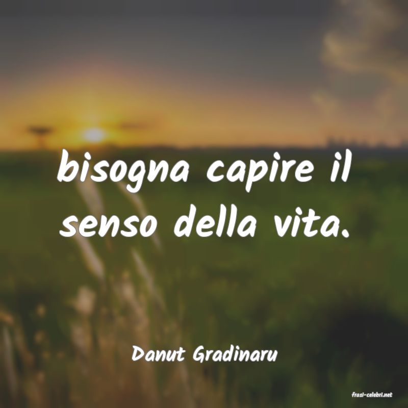 frasi di  Danut Gradinaru
