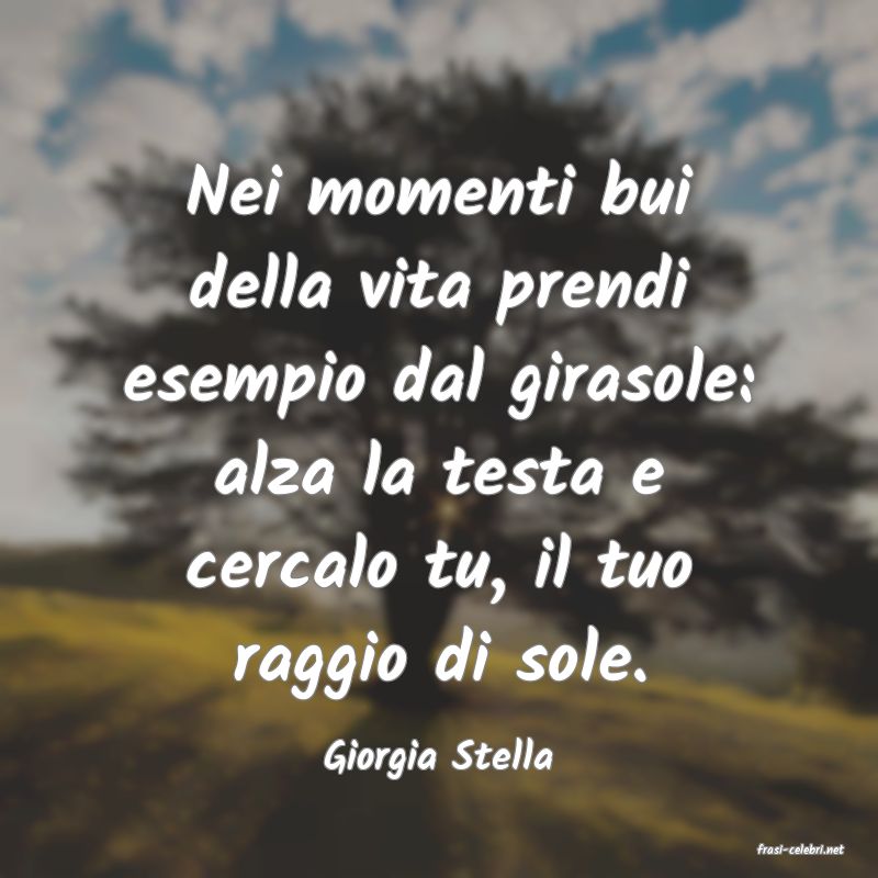 frasi di  Giorgia Stella
