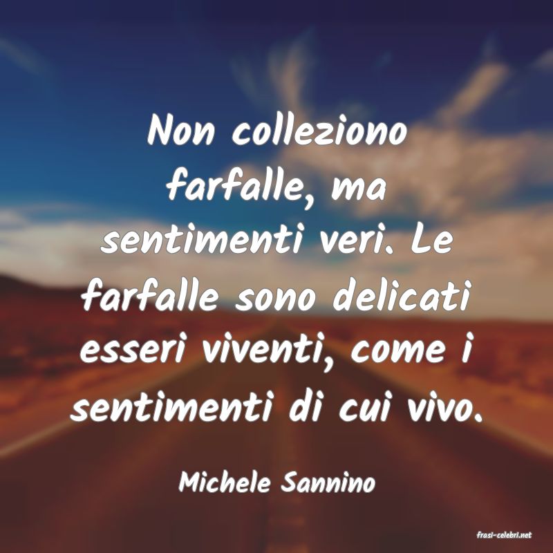 frasi di  Michele Sannino
