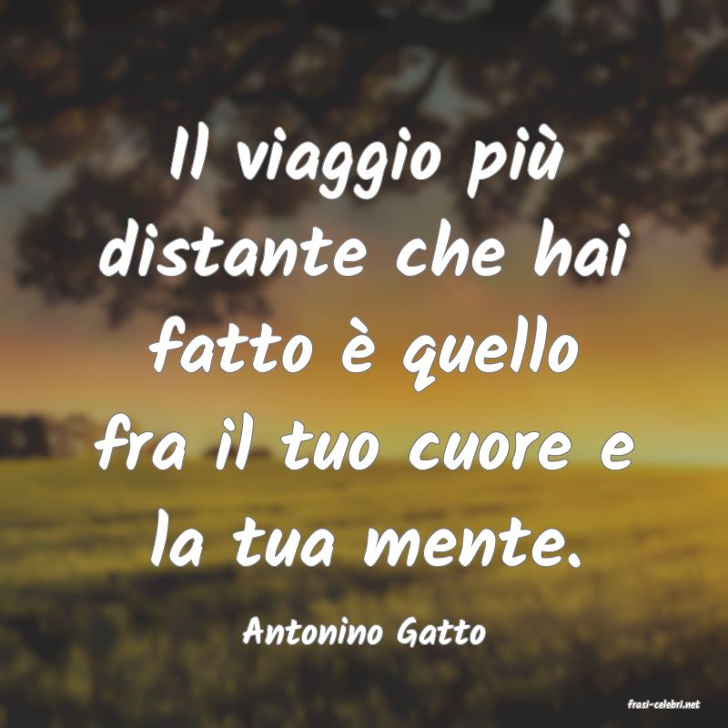 frasi di  Antonino Gatto
