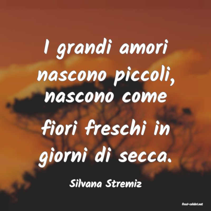 frasi di Silvana Stremiz
