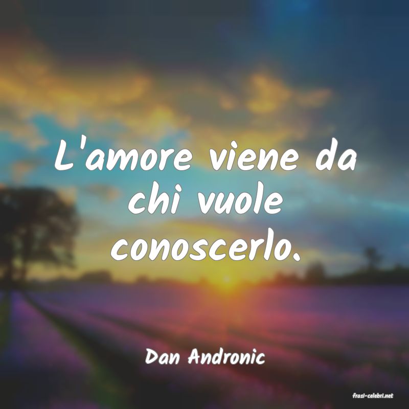 frasi di  Dan Andronic
