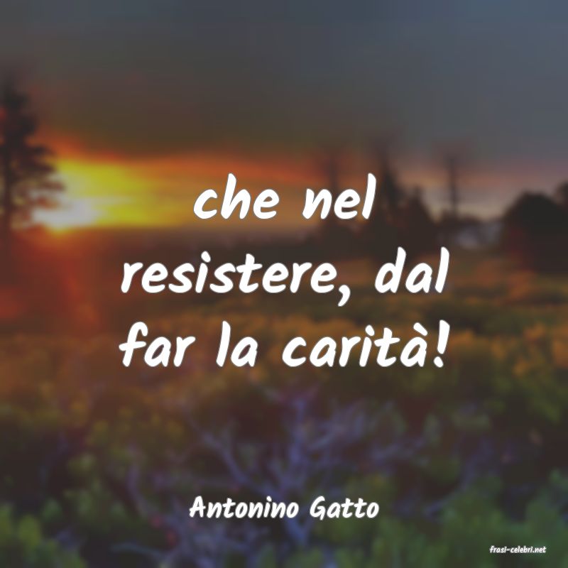 frasi di Antonino Gatto