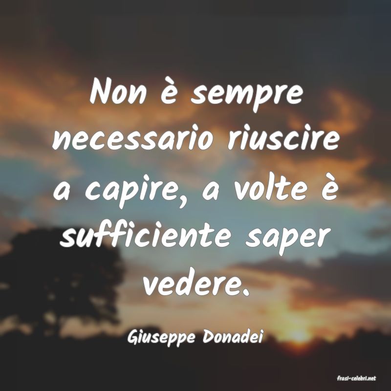 frasi di  Giuseppe Donadei
