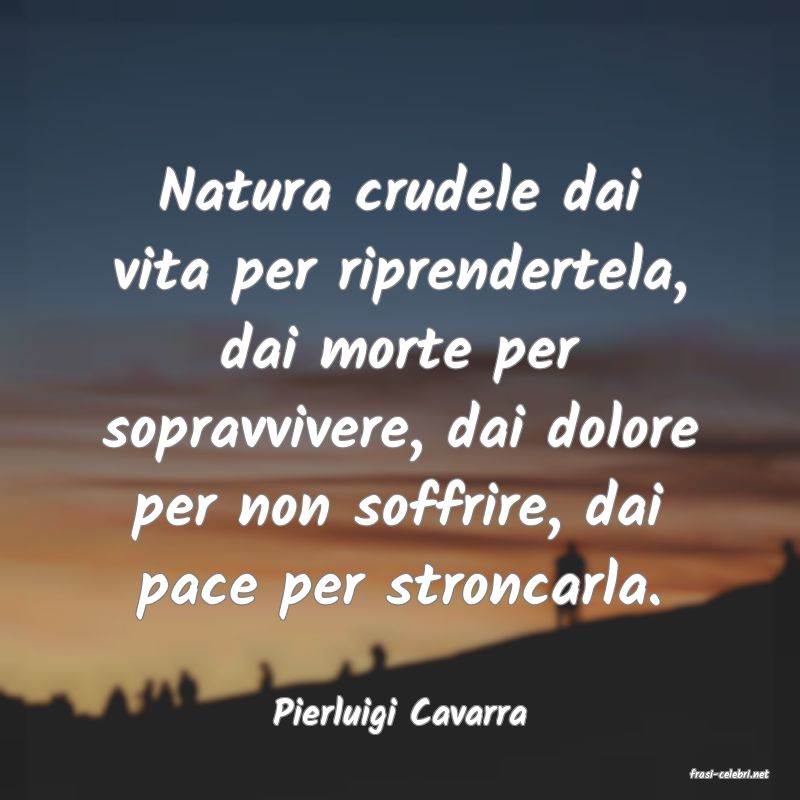 frasi di Pierluigi Cavarra