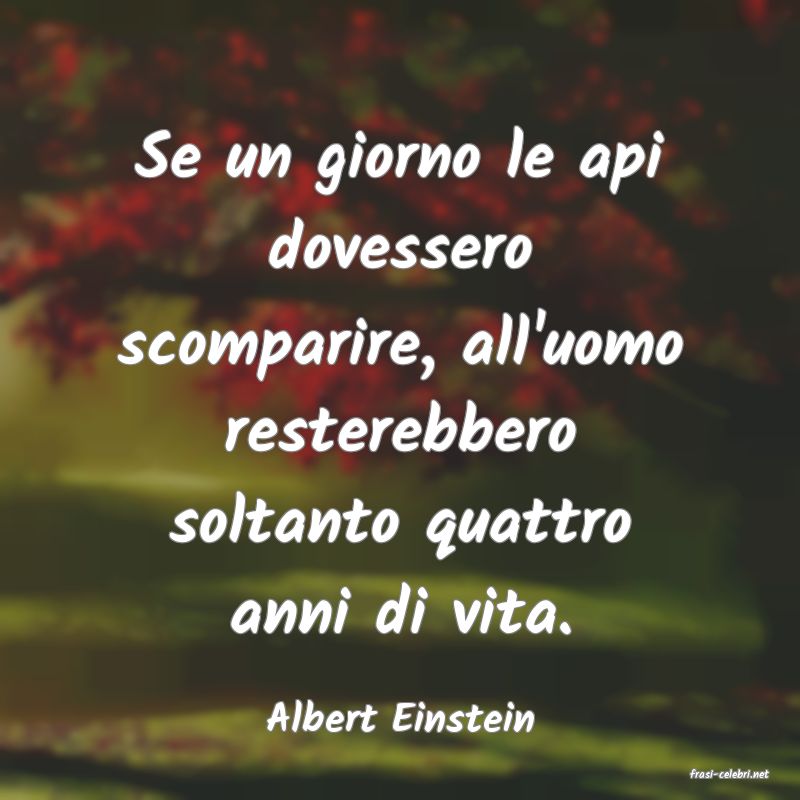 frasi di Albert Einstein