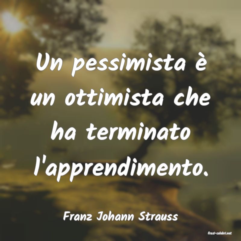 frasi di Franz Johann Strauss