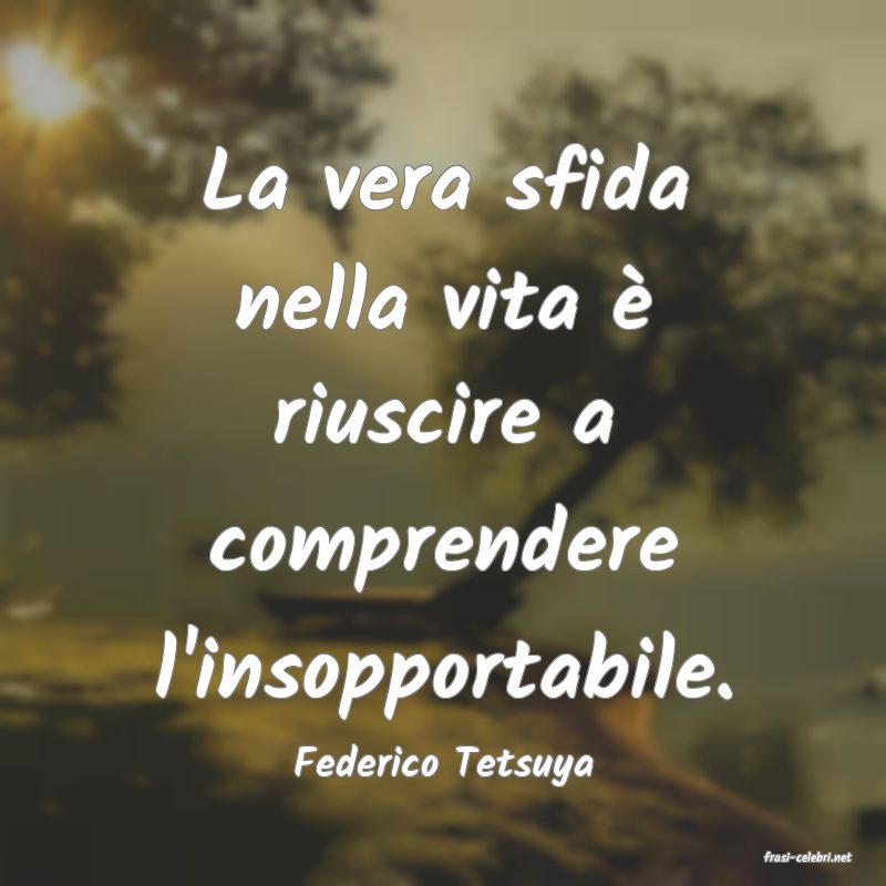 frasi di  Federico Tetsuya
