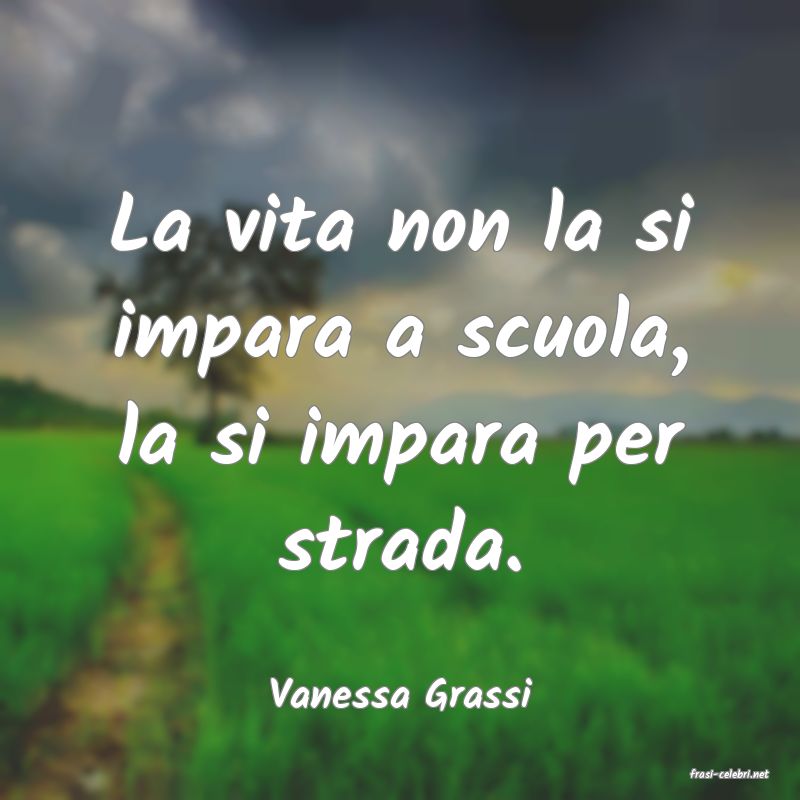 frasi di  Vanessa Grassi
