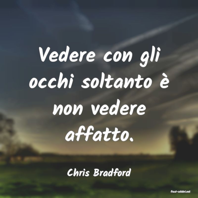 frasi di  Chris Bradford
