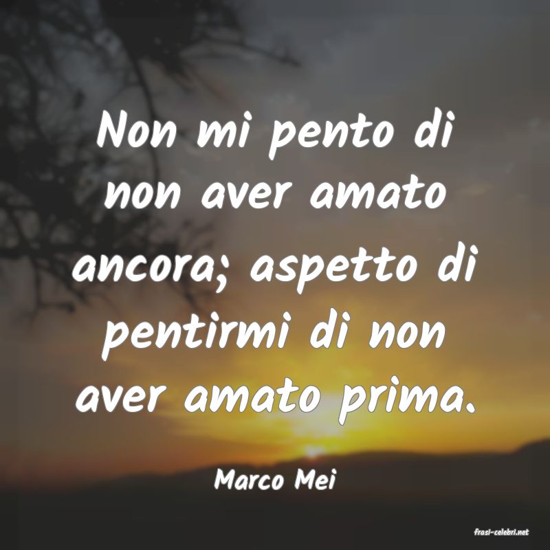 frasi di  Marco Mei
