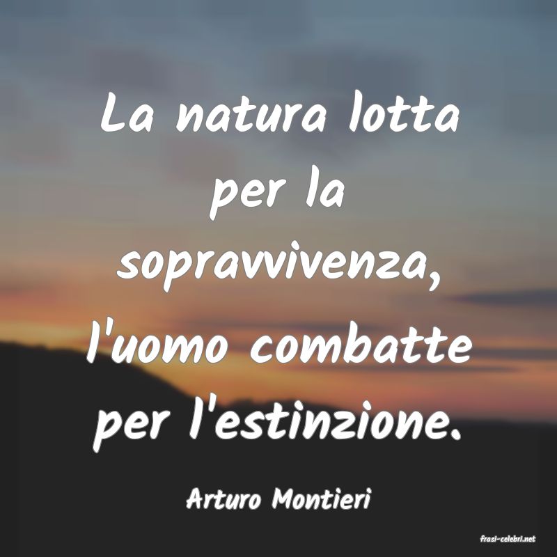frasi di Arturo Montieri