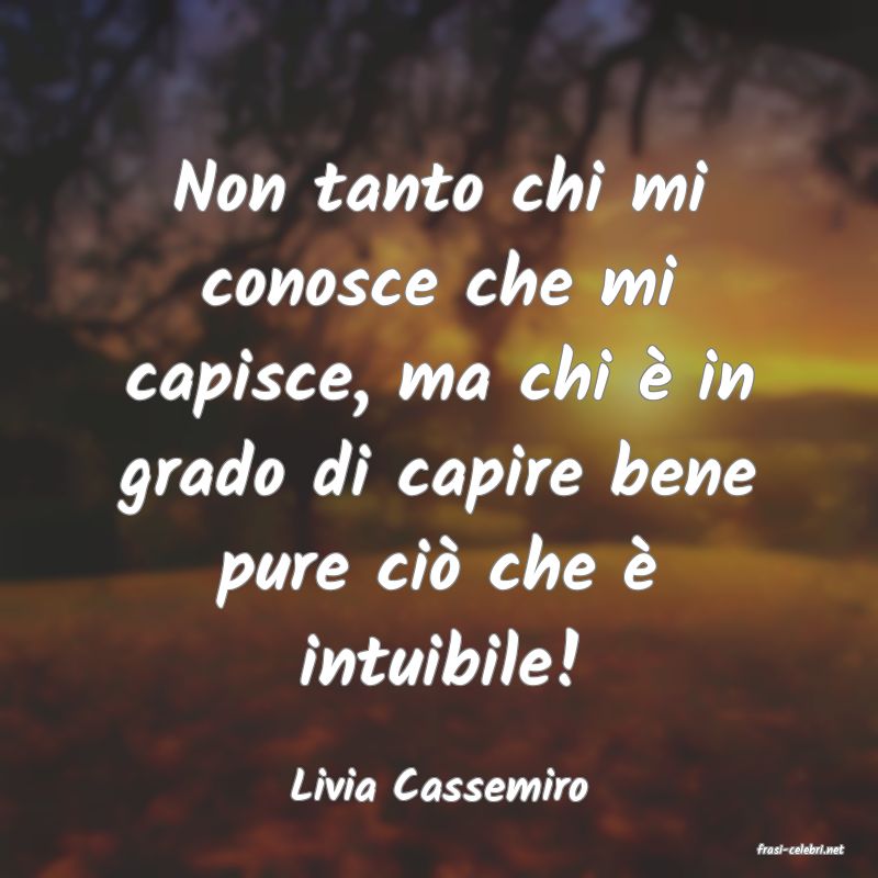 frasi di Livia Cassemiro