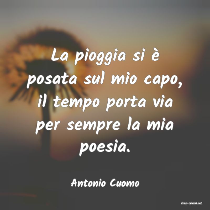 frasi di  Antonio Cuomo
