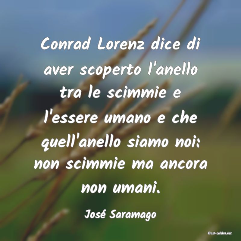 frasi di Jos Saramago