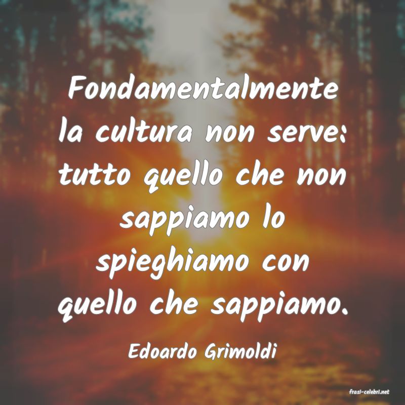 frasi di  Edoardo Grimoldi

