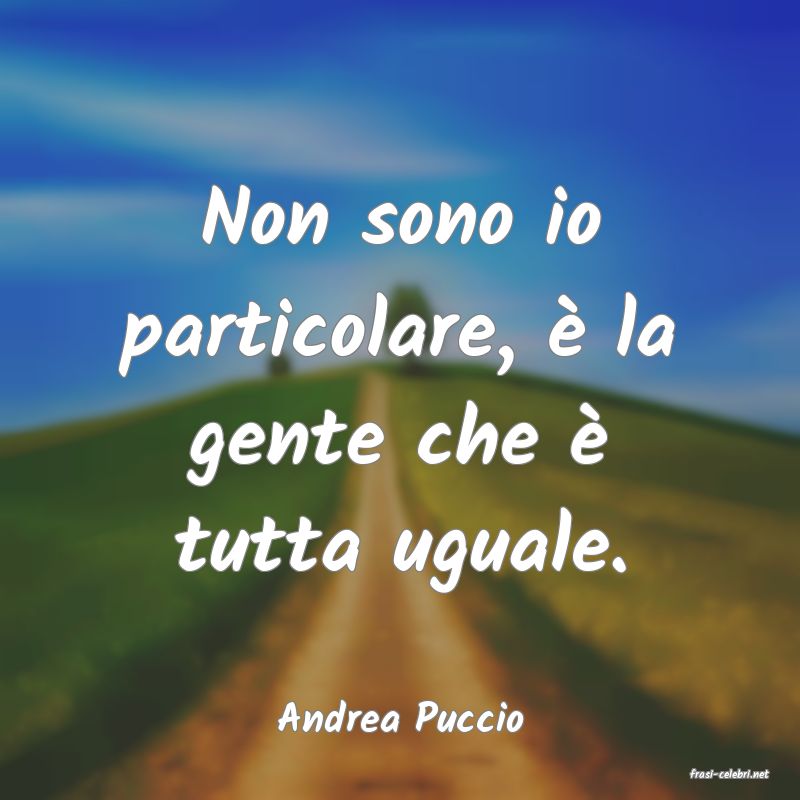 frasi di Andrea Puccio