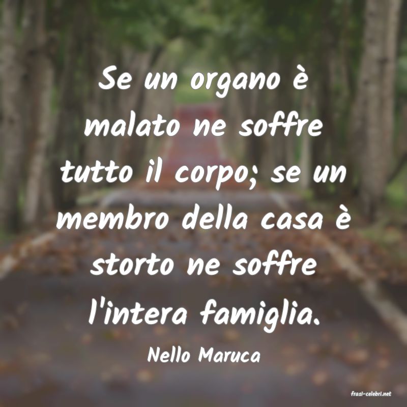 frasi di  Nello Maruca
