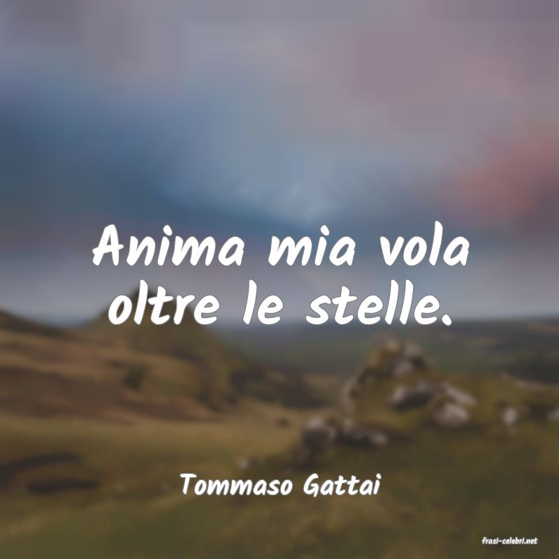 frasi di  Tommaso Gattai
