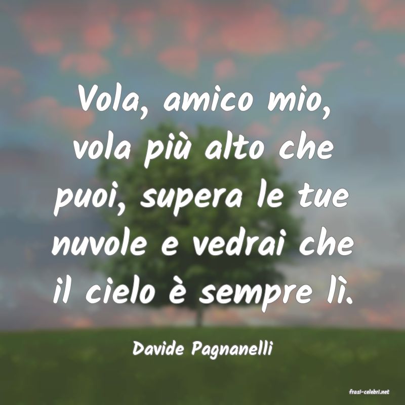 frasi di  Davide Pagnanelli
