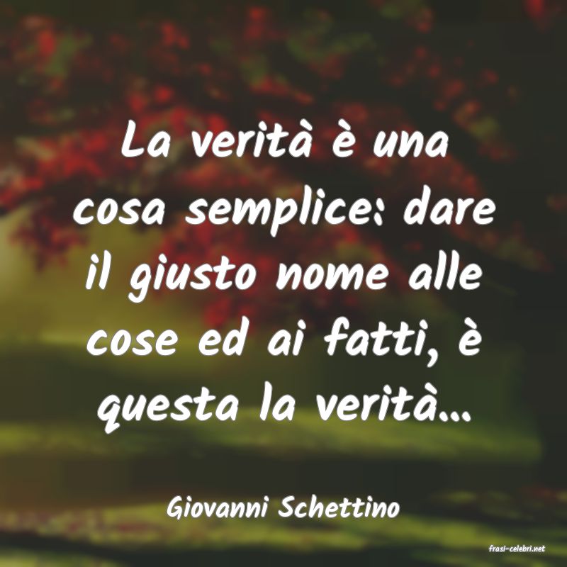 frasi di Giovanni Schettino