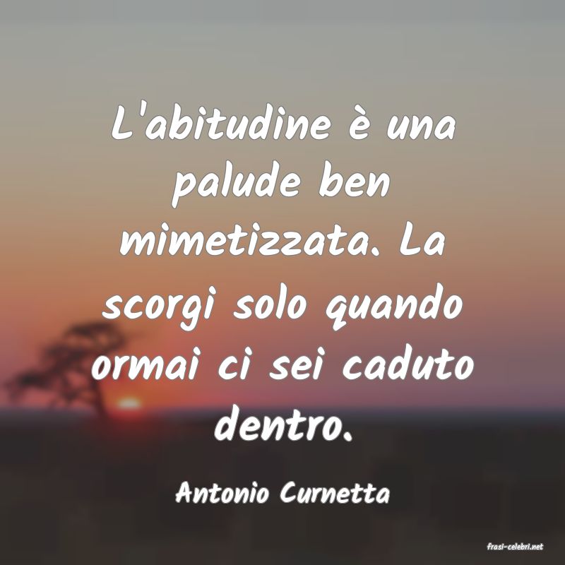 frasi di  Antonio Curnetta
