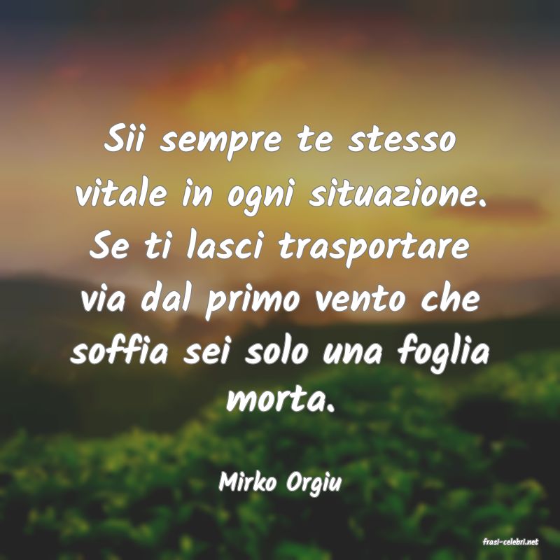 frasi di  Mirko Orgiu
