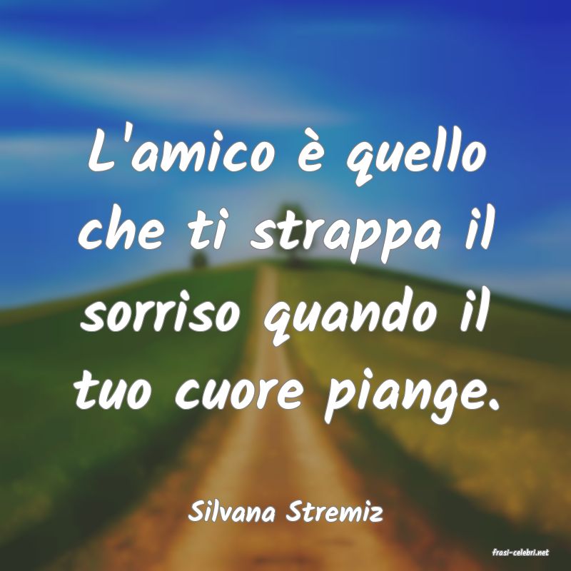 frasi di Silvana Stremiz