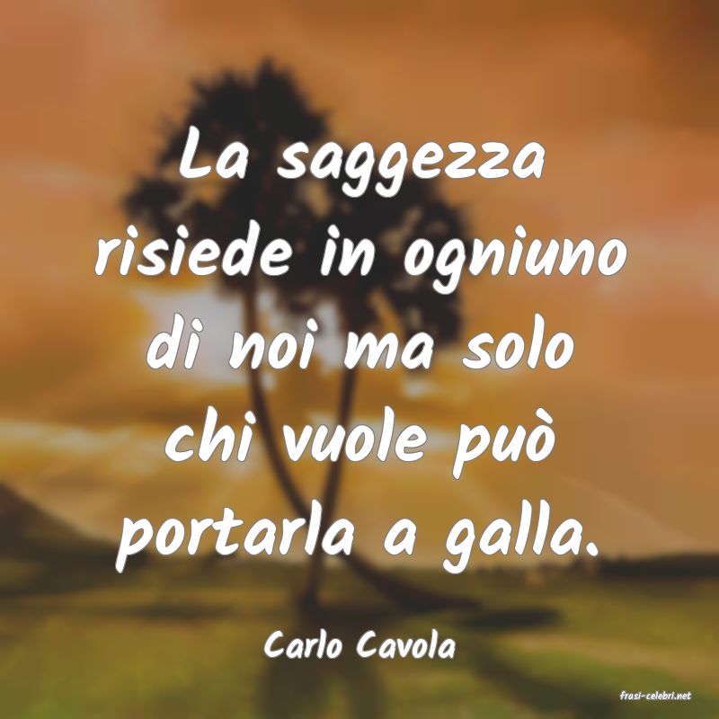 frasi di Carlo Cavola