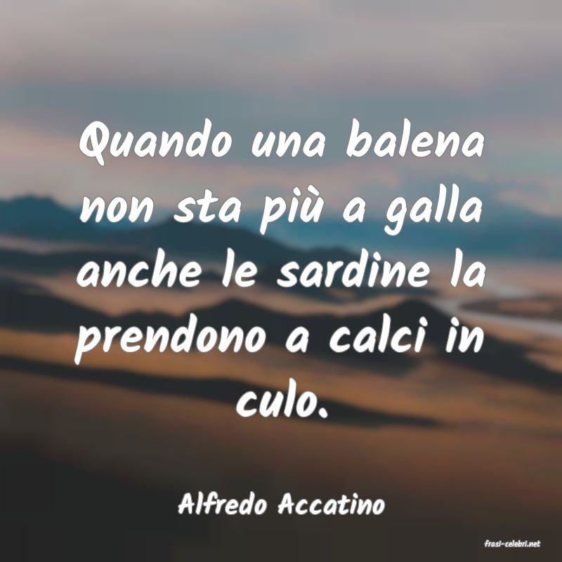 frasi di Alfredo Accatino