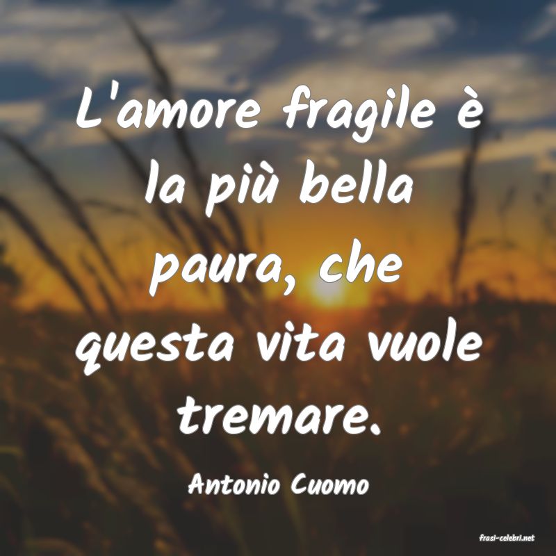 frasi di  Antonio Cuomo

