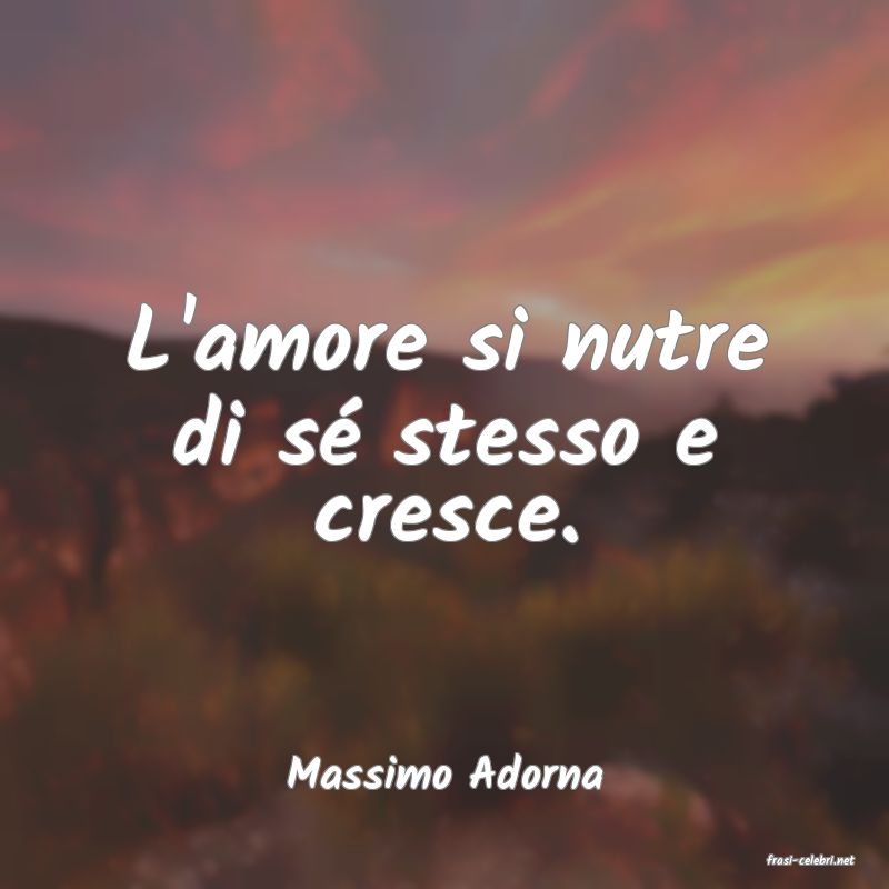 frasi di  Massimo Adorna
