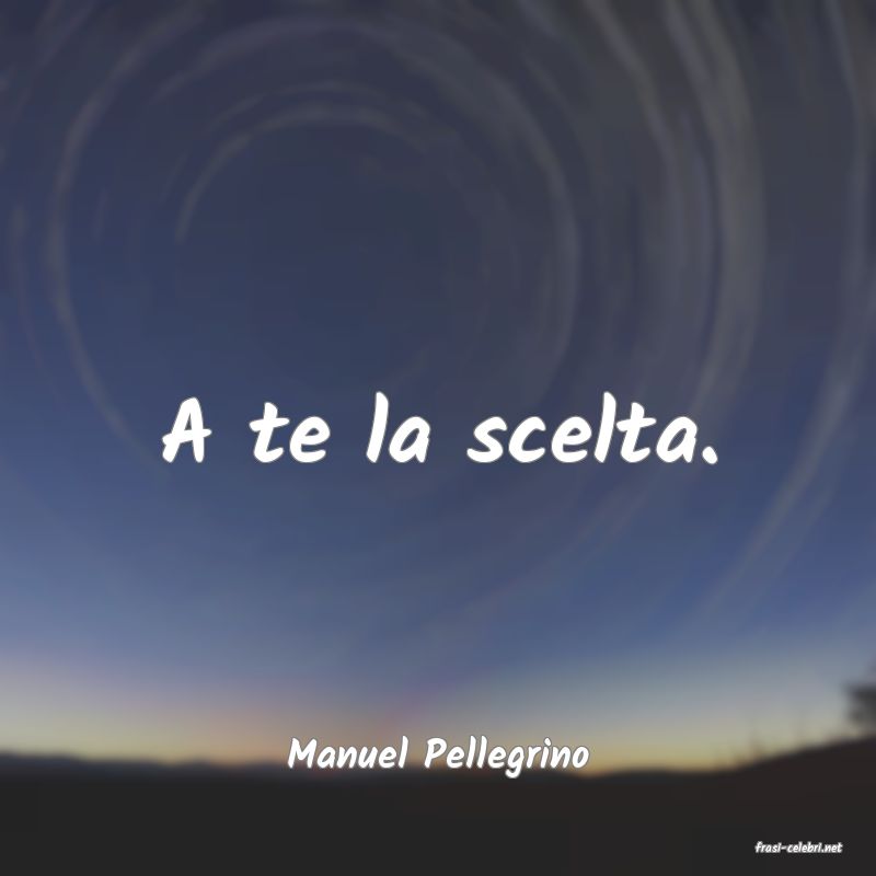 frasi di  Manuel Pellegrino
