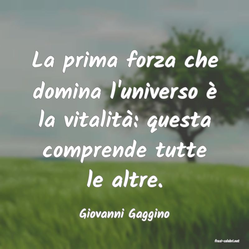 frasi di  Giovanni Gaggino
