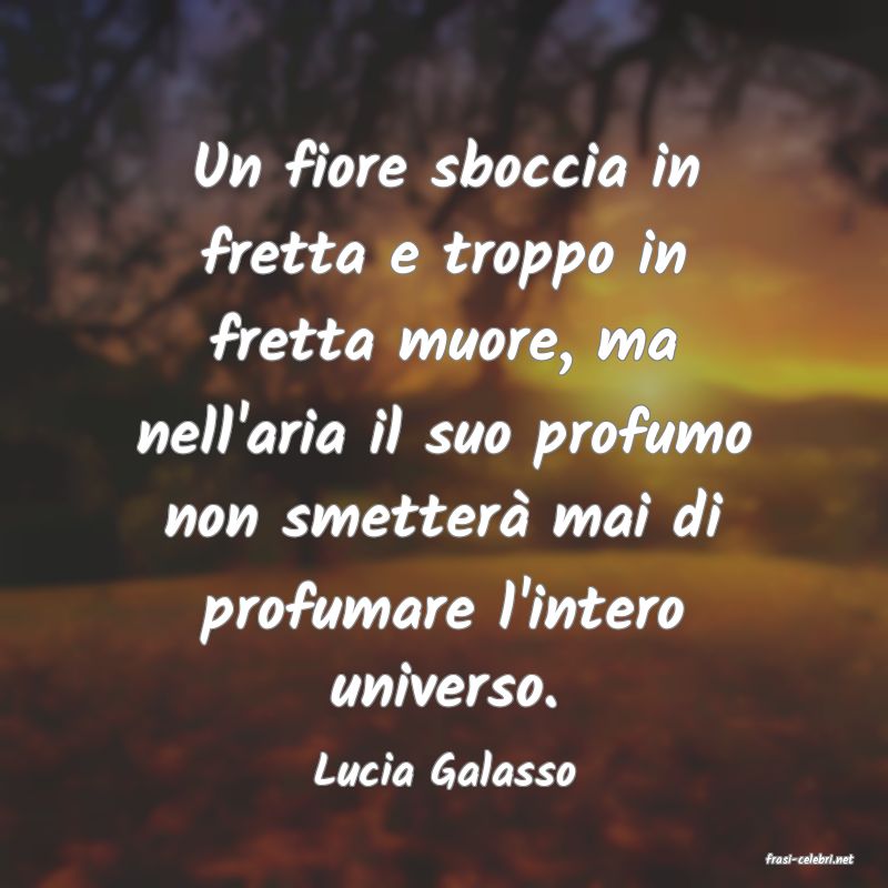 frasi di  Lucia Galasso
