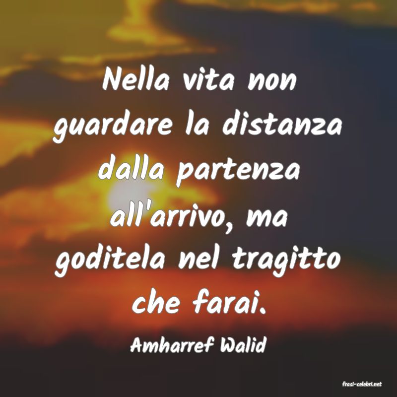 frasi di  Amharref Walid
