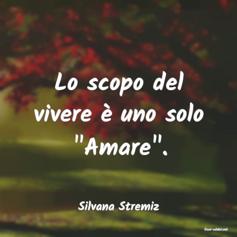 frasi di  Silvana Stremiz
